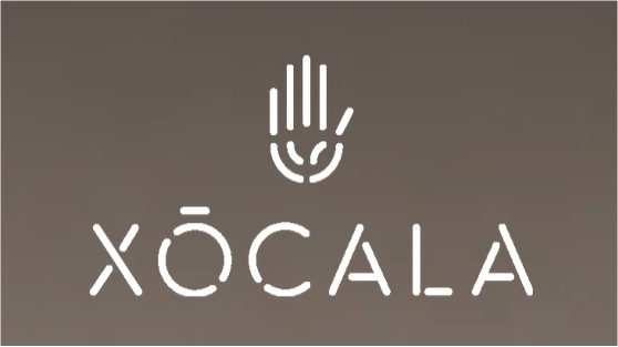 Imatge del comerç Xocala Històries de Xocolata