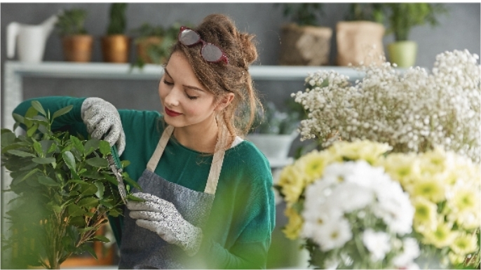 Imatge del comerç Flors i branques